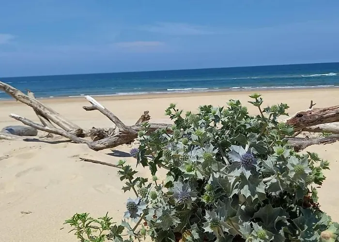 아파트 For 6 - Pierre & *