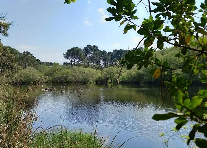 아파트 For 6 - Pierre & *