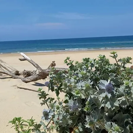 Appartamento Apartment For 5 With Terrasse Near The Ocean *