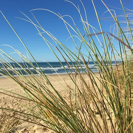 Apartmán For 5 With Terrasse Near The Ocean