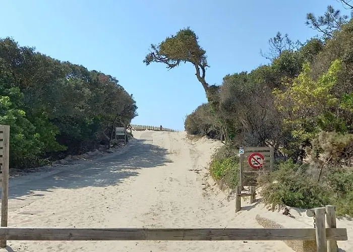 For 6 - Pierre & Moliets-et-Maa