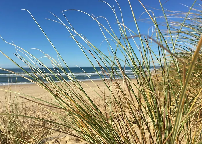 For 6 - Pierre & Moliets-et-Maa